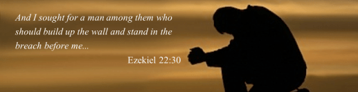 Stand in the Breach 2